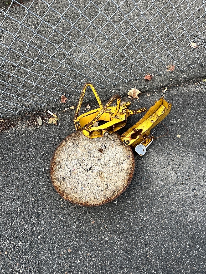 Image submitted with report