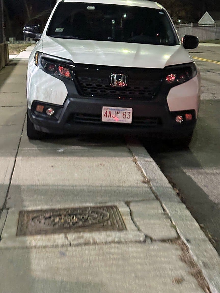 Image submitted with report