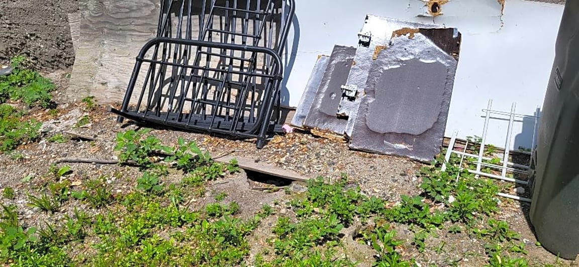 Image submitted with report