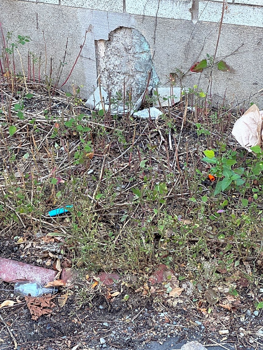 Image submitted with report