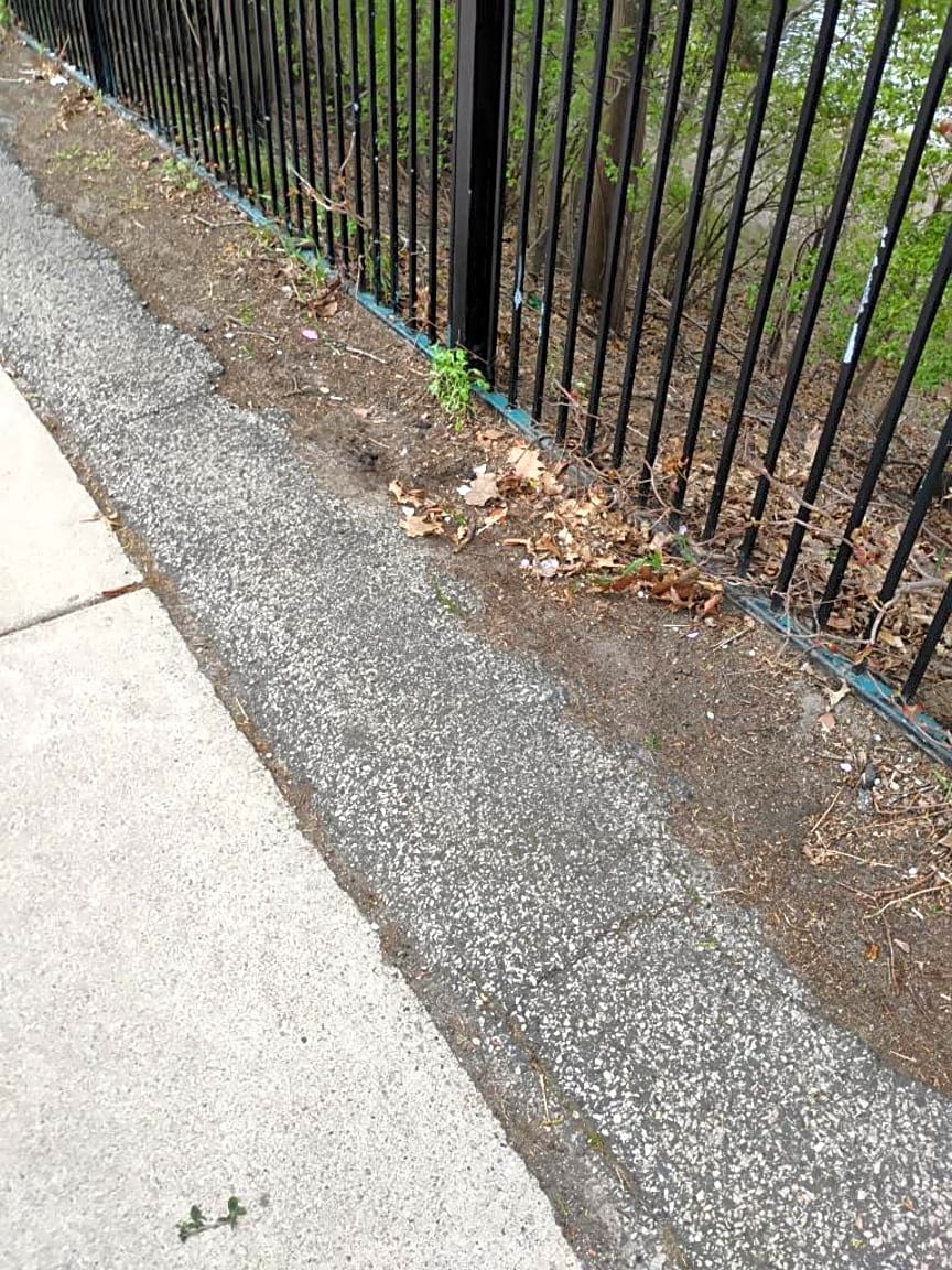 Image submitted with report