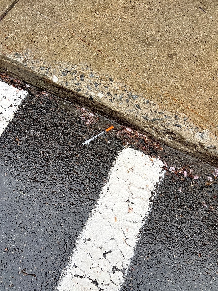Image submitted with report