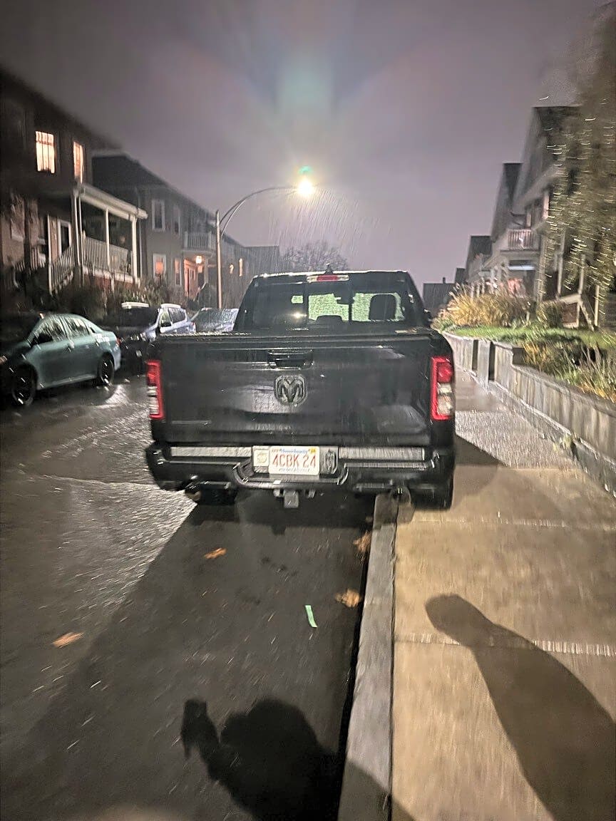 Image submitted with report