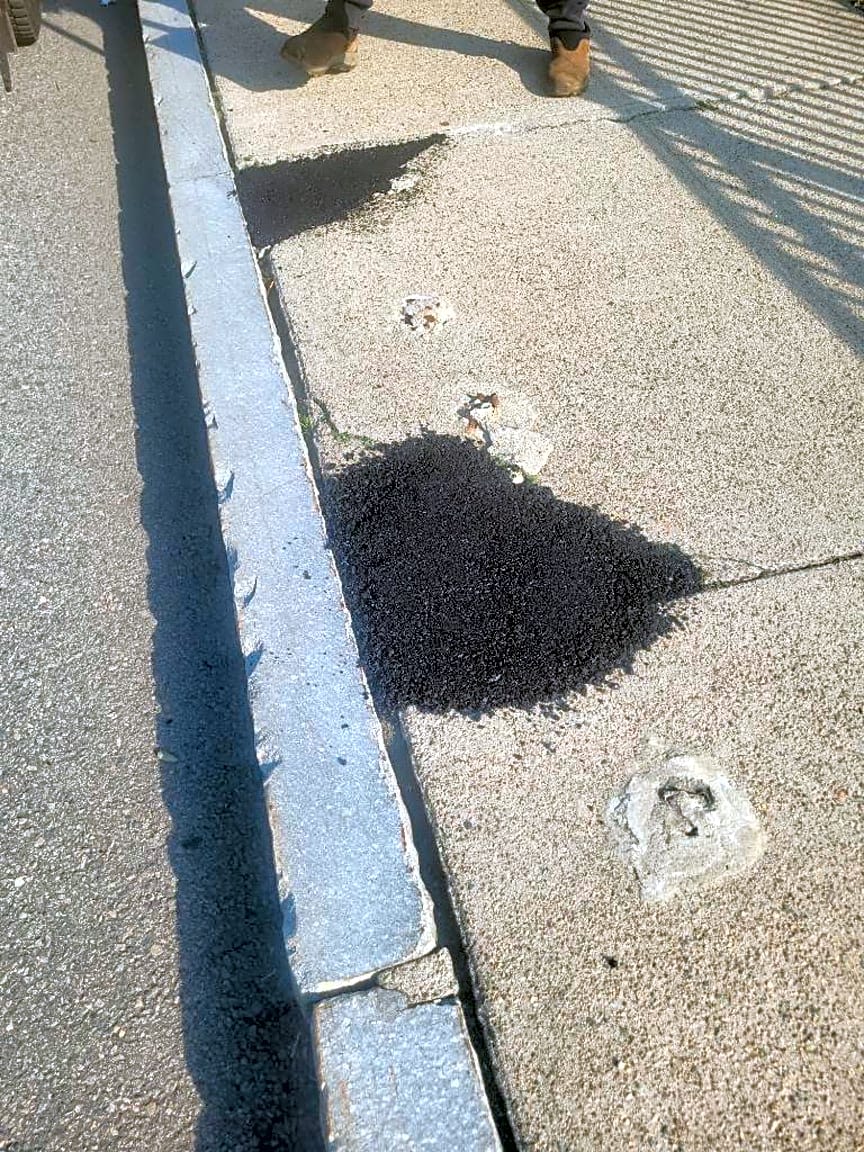 Image submitted with report