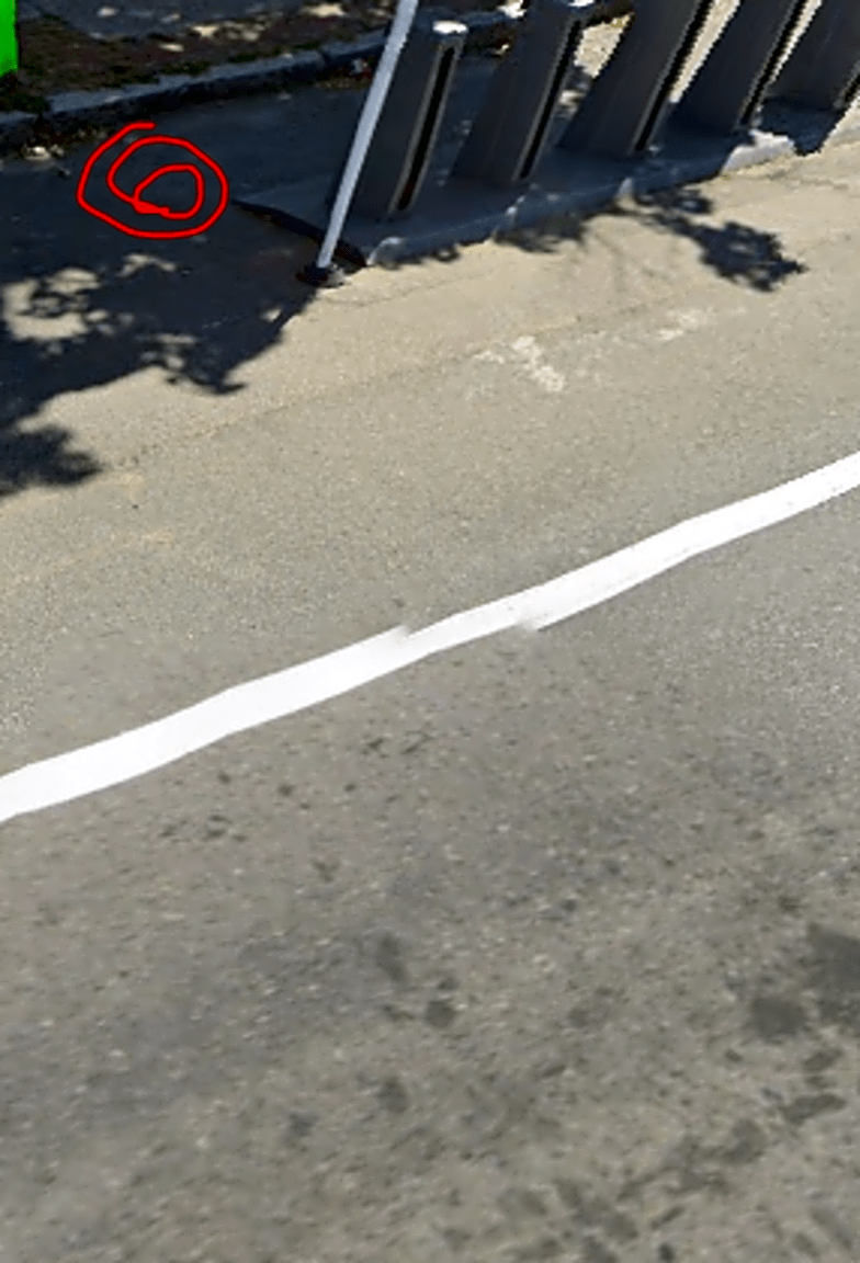 Image submitted with report