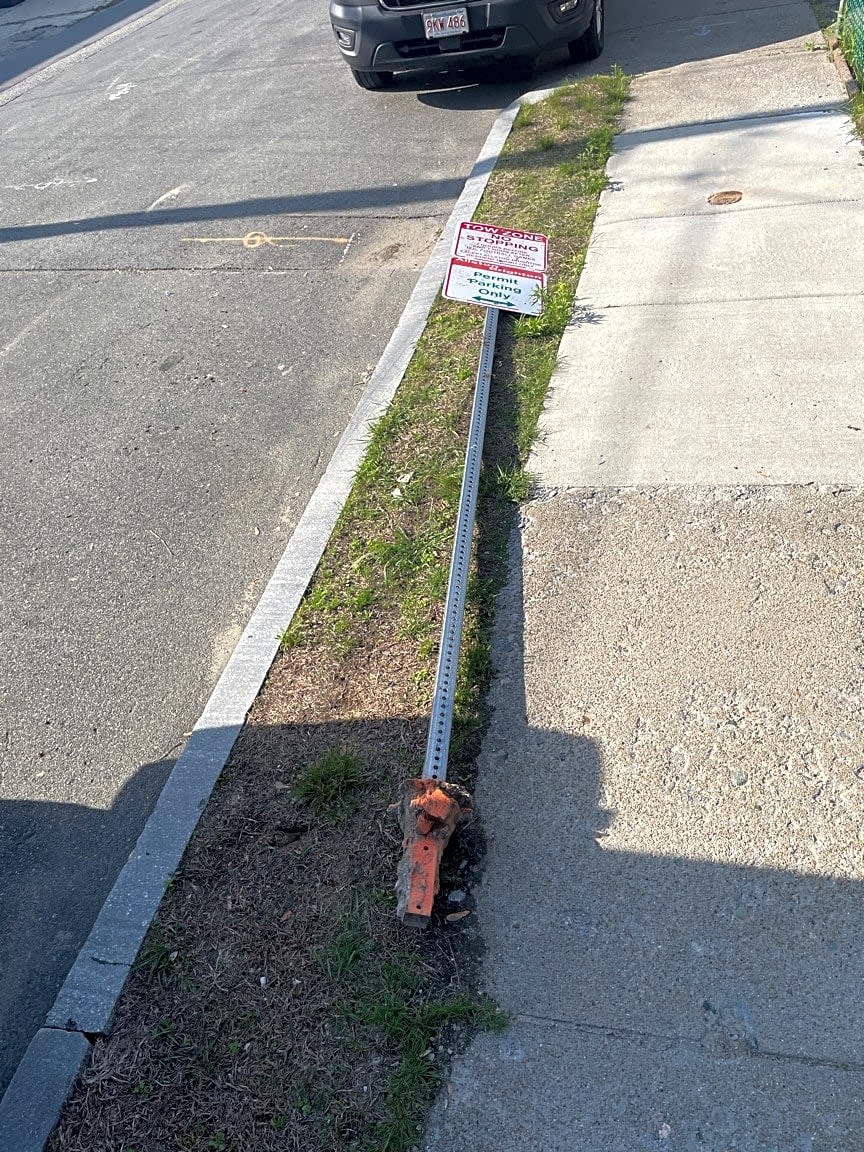 Image submitted with report