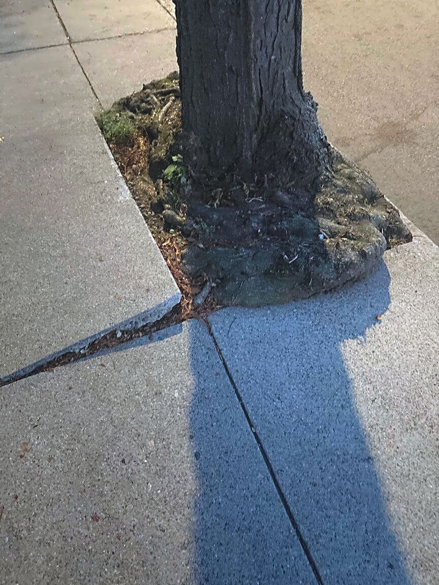 Image submitted with report