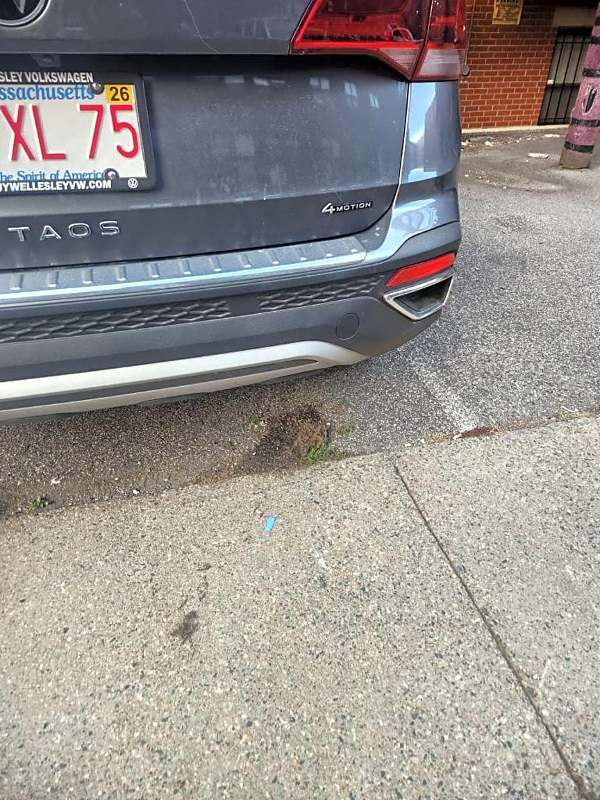 Image submitted with report