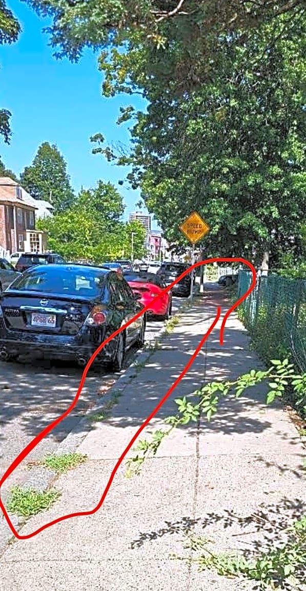 Image submitted with report