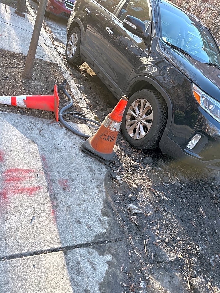 Image submitted with report