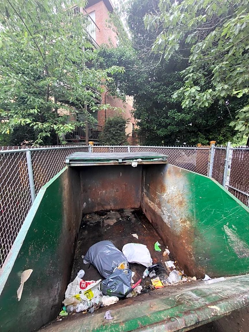 Image submitted with report