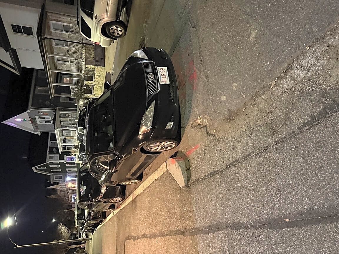 Image submitted with report