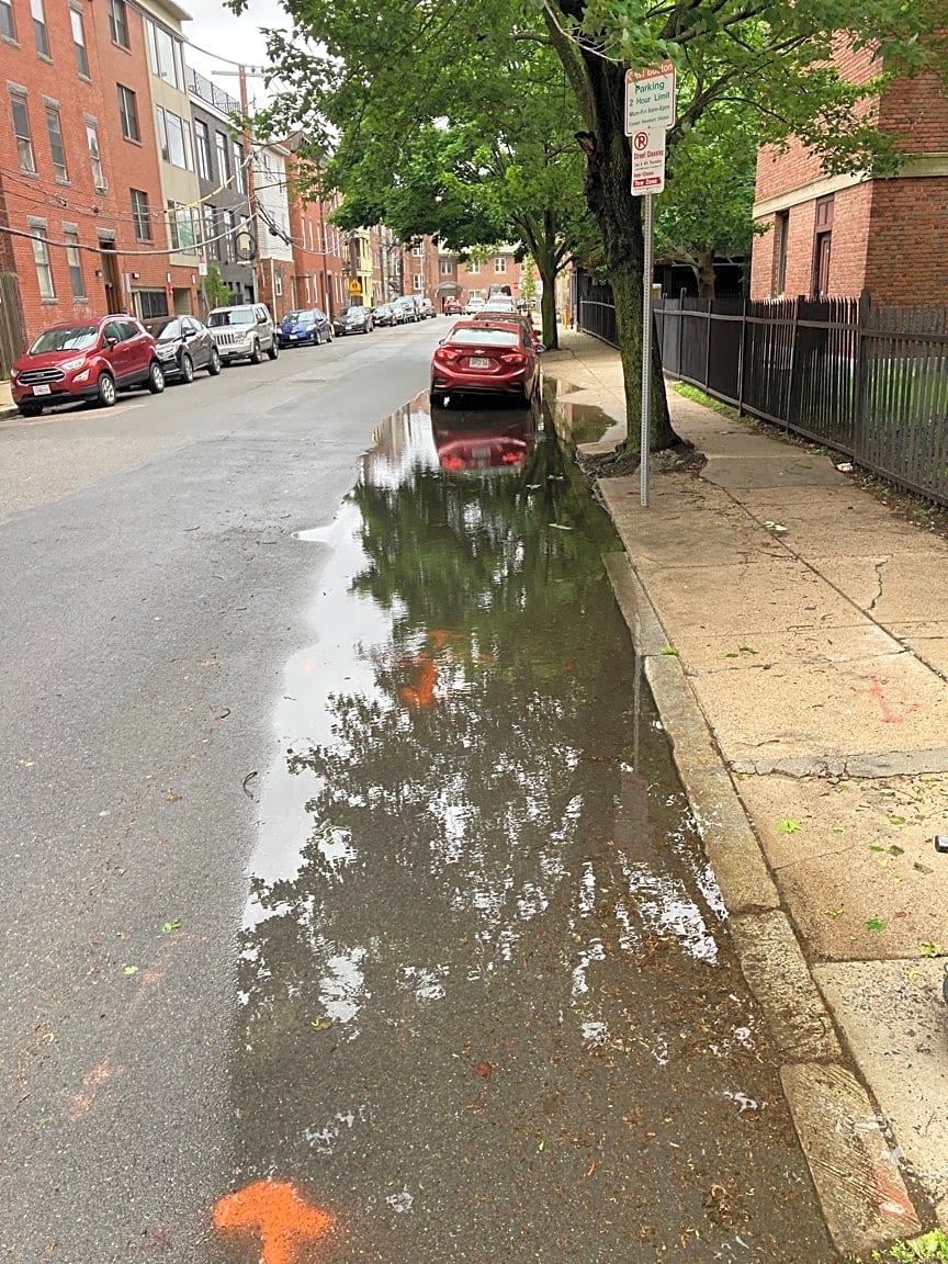 Image submitted with report