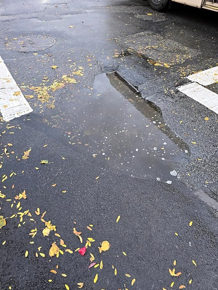 Image submitted with report