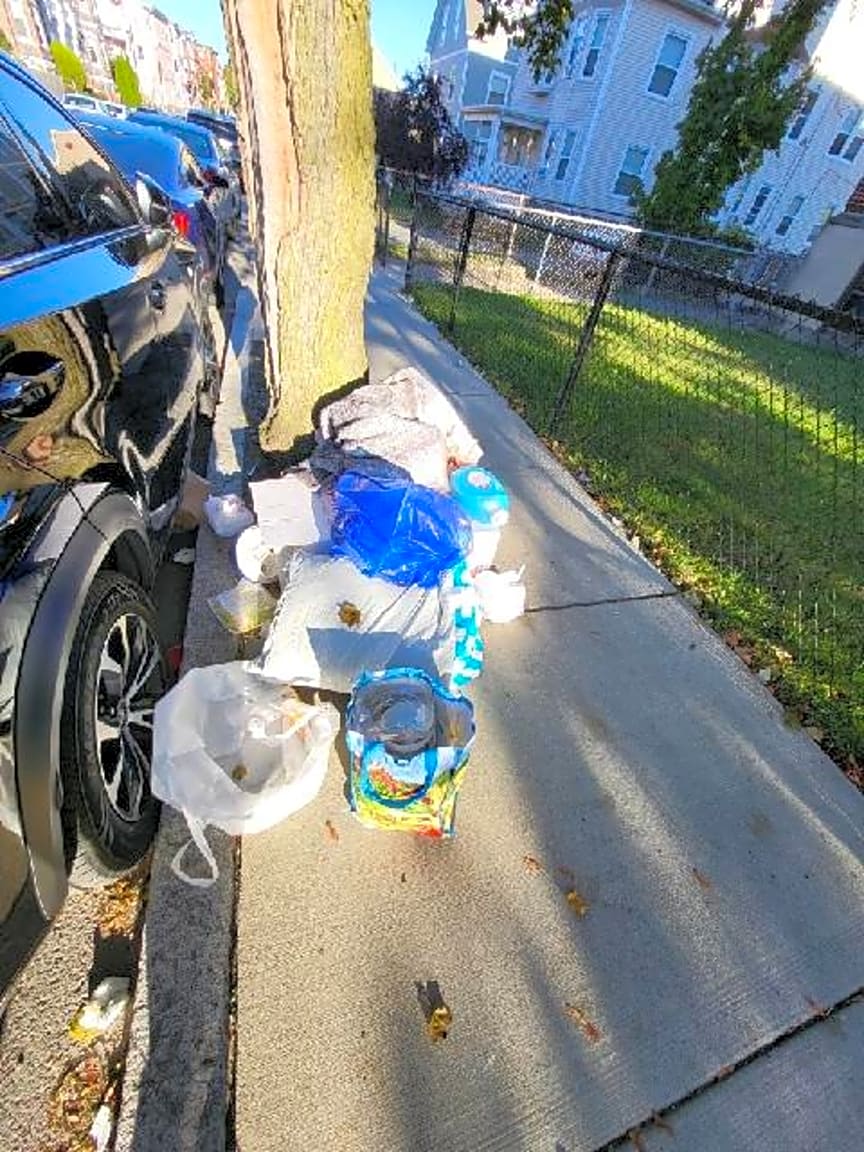 Image submitted with report