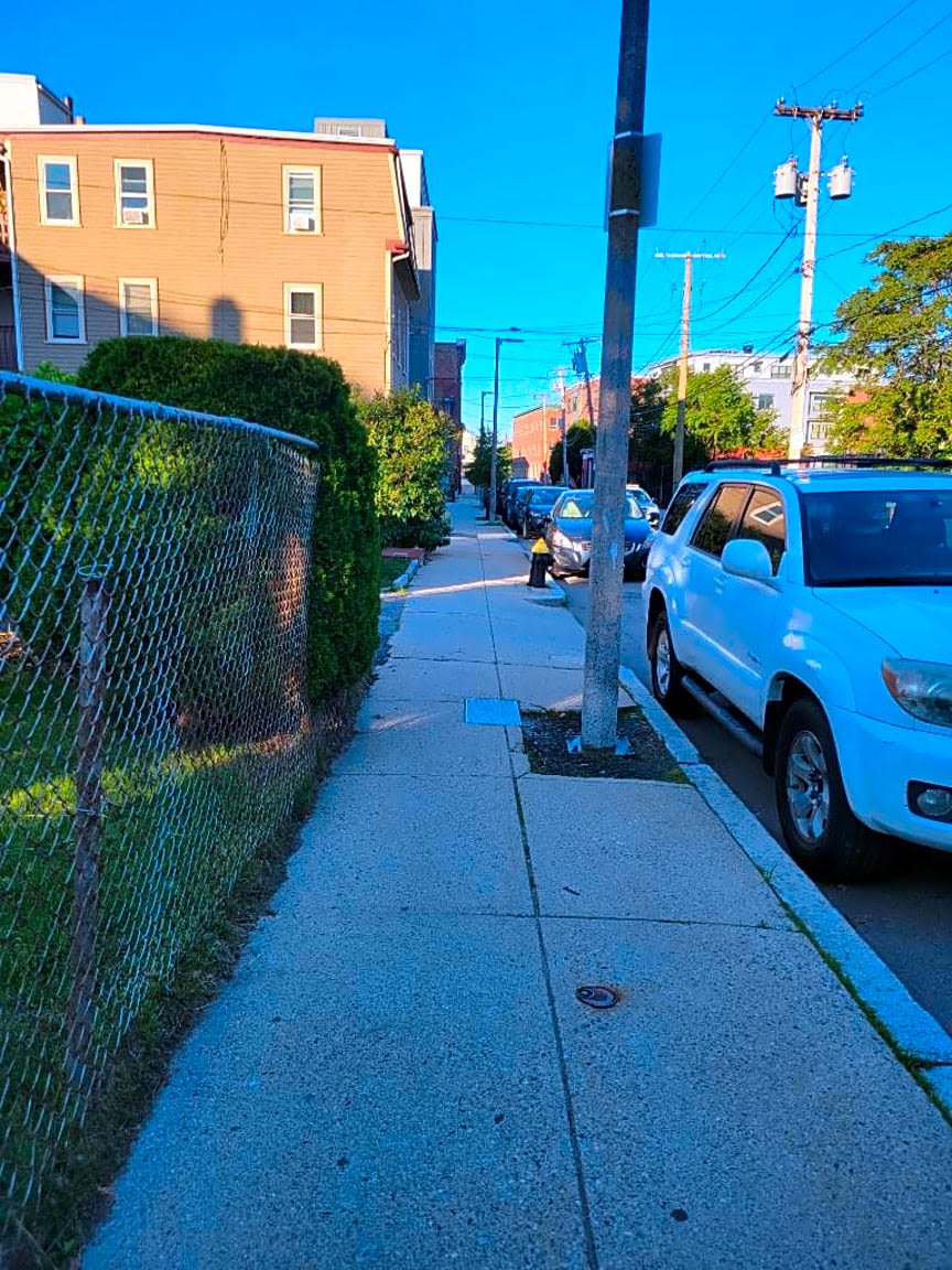 Image submitted with report