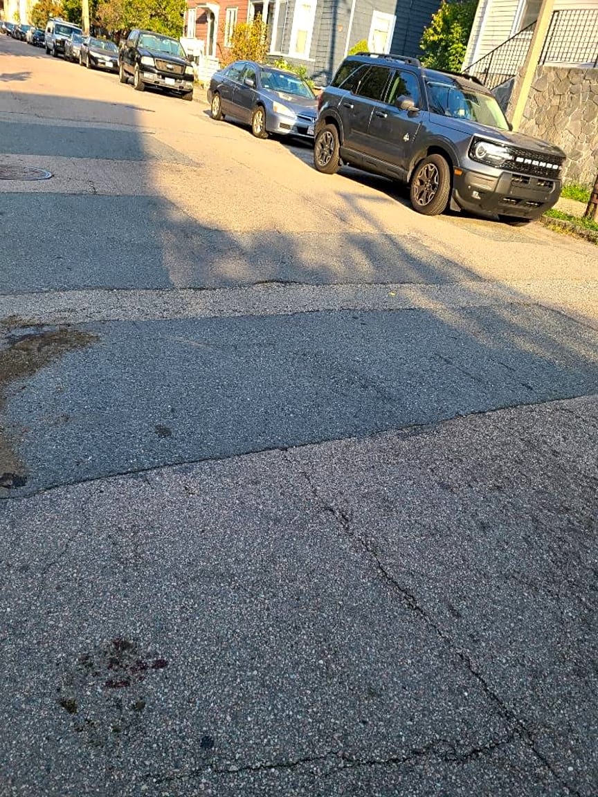 Image submitted with report