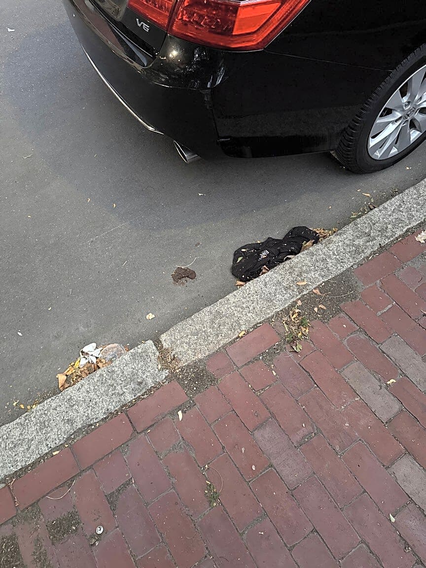 Image submitted with report