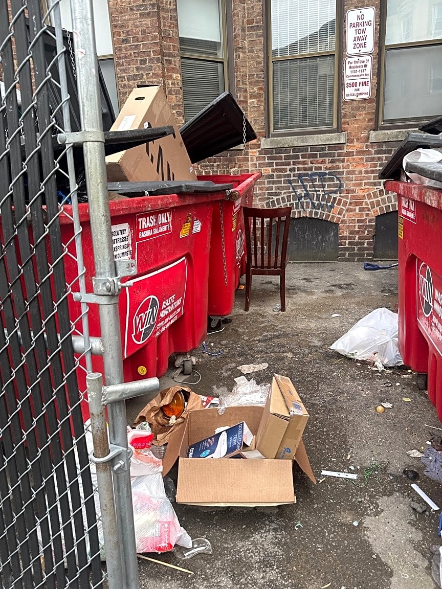 Image submitted with report