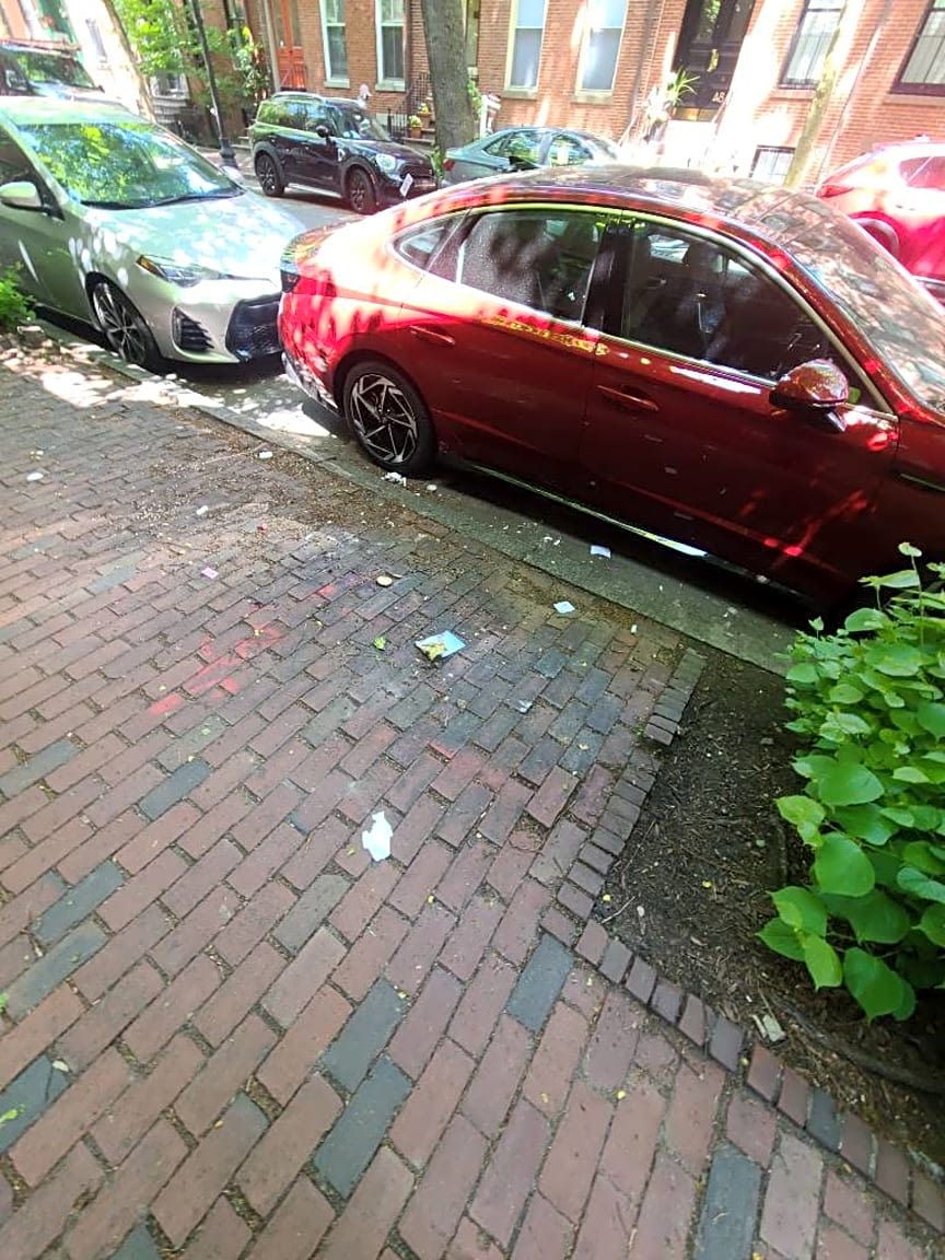 Image submitted with report