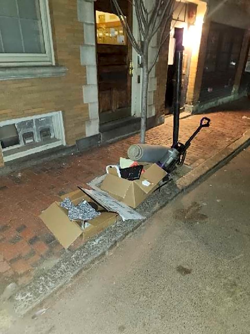 Image submitted with report