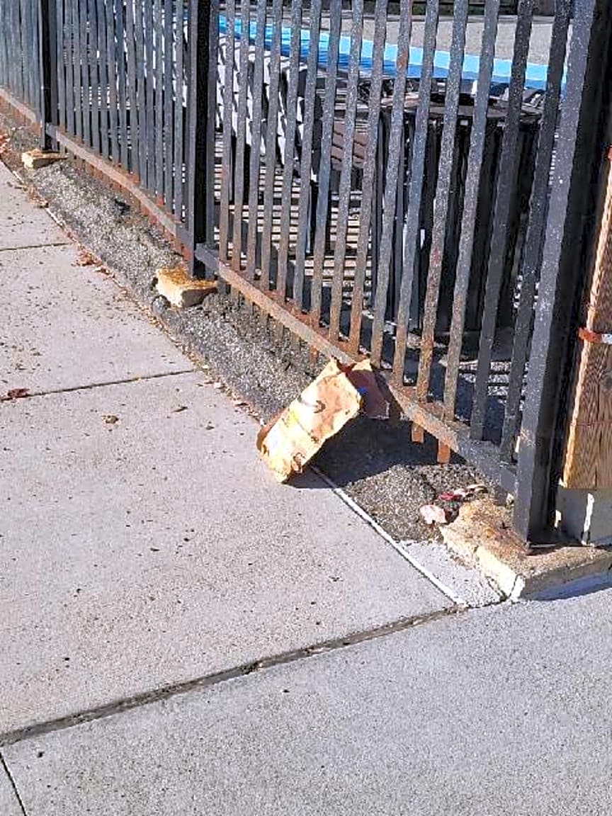 Image submitted with report