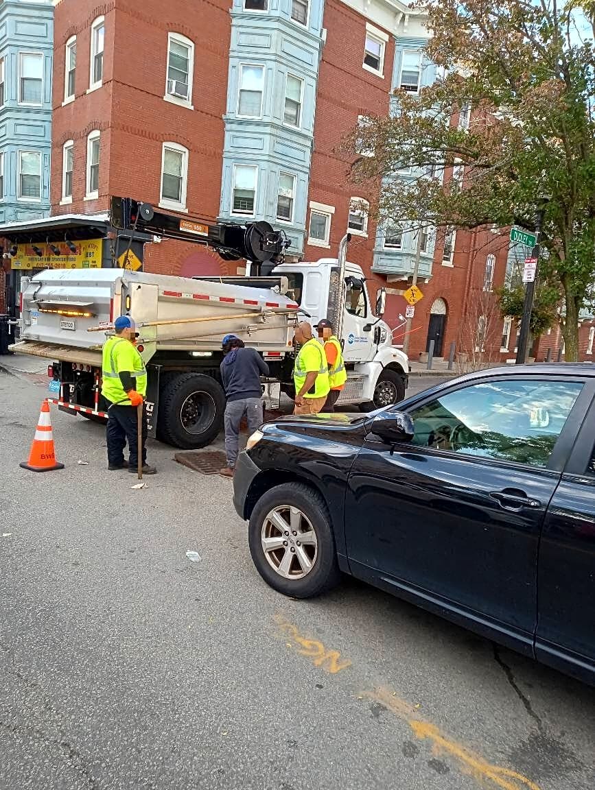 Image submitted with report