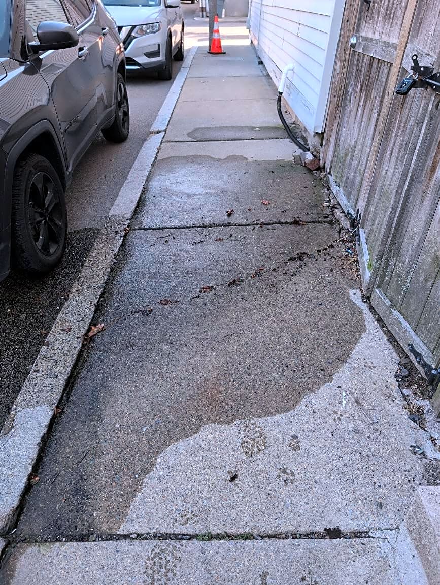 Image submitted with report