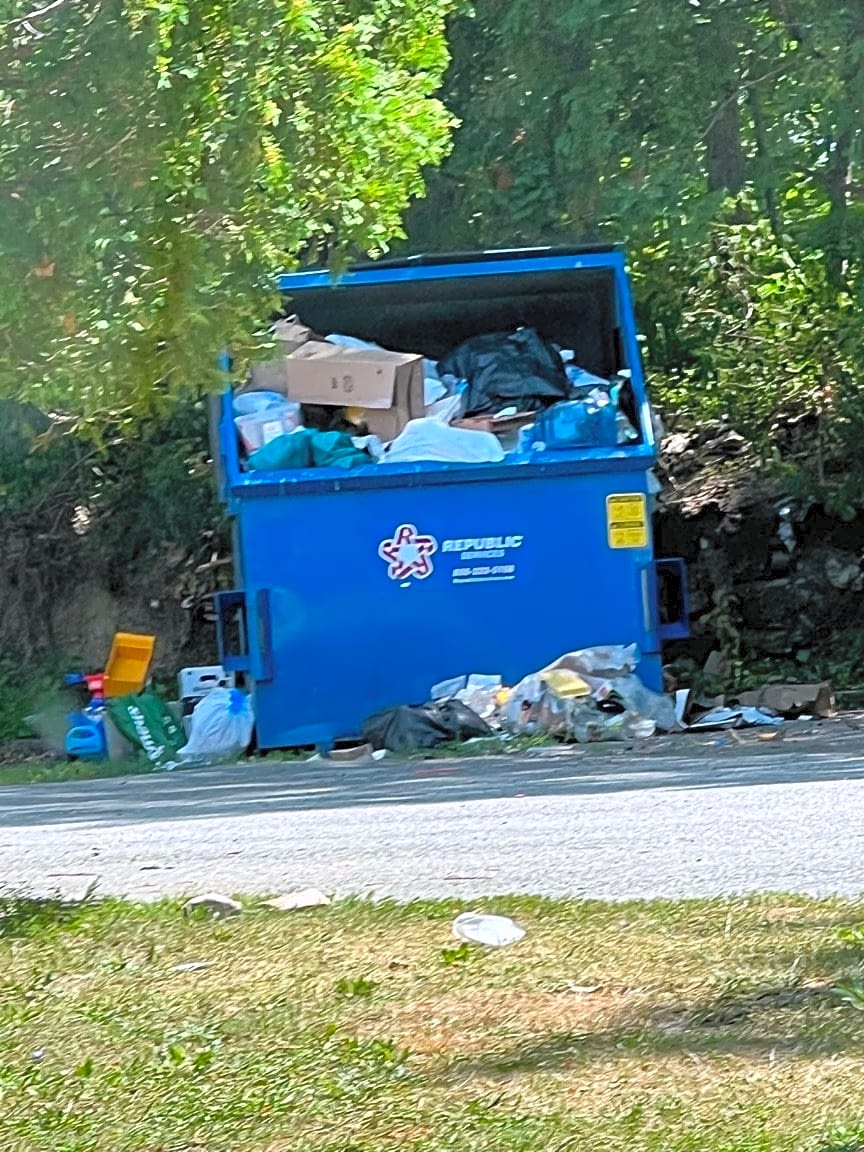 Image submitted with report