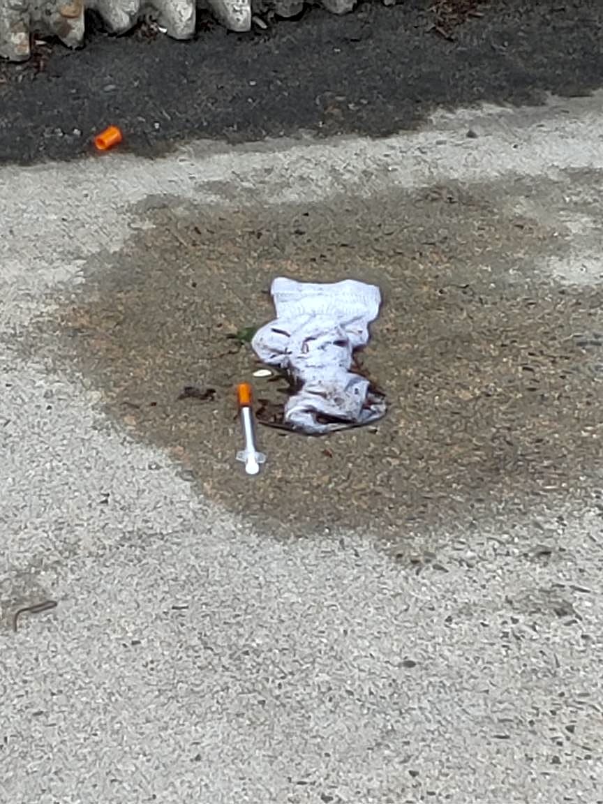 Image submitted with report