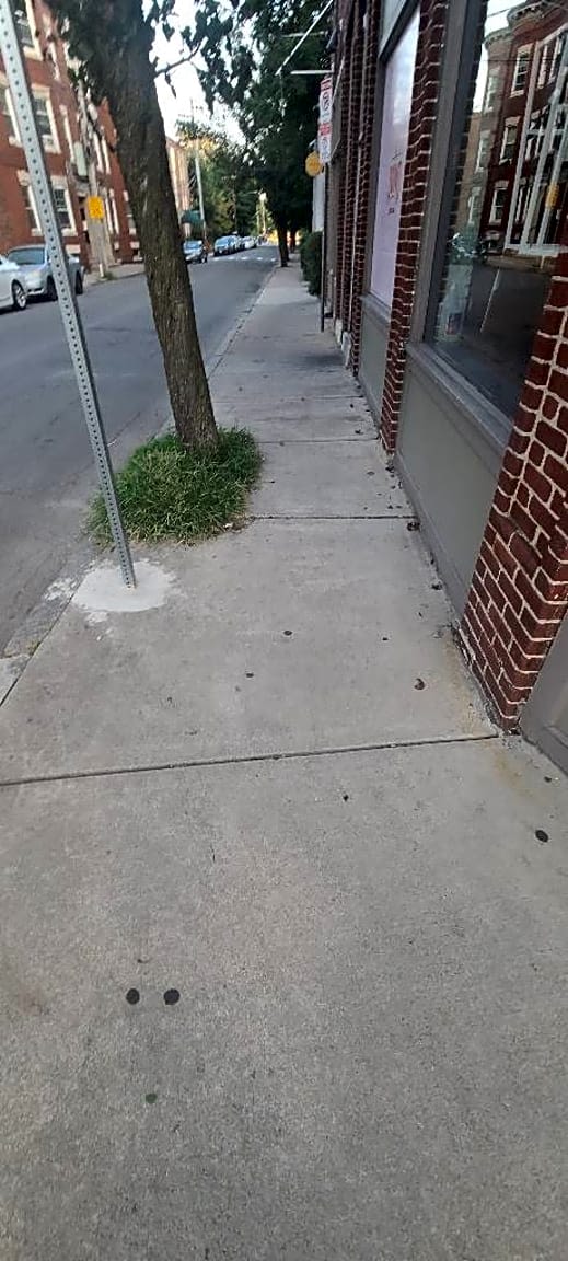 Image submitted with report