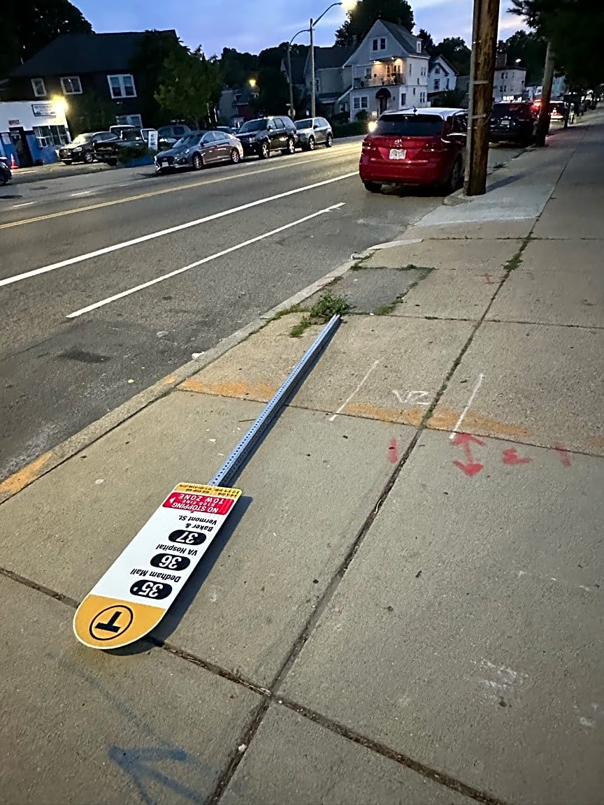 Image submitted with report