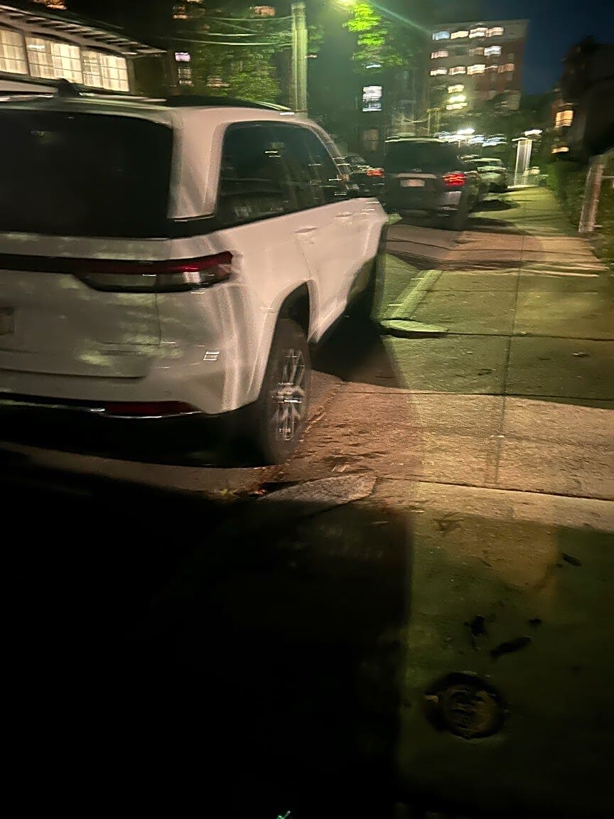 Image submitted with report