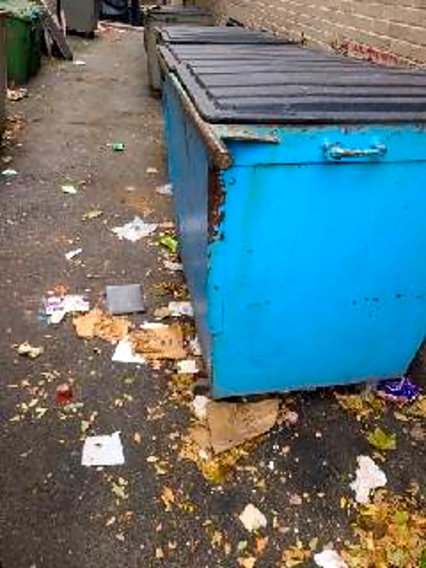 Image submitted with report