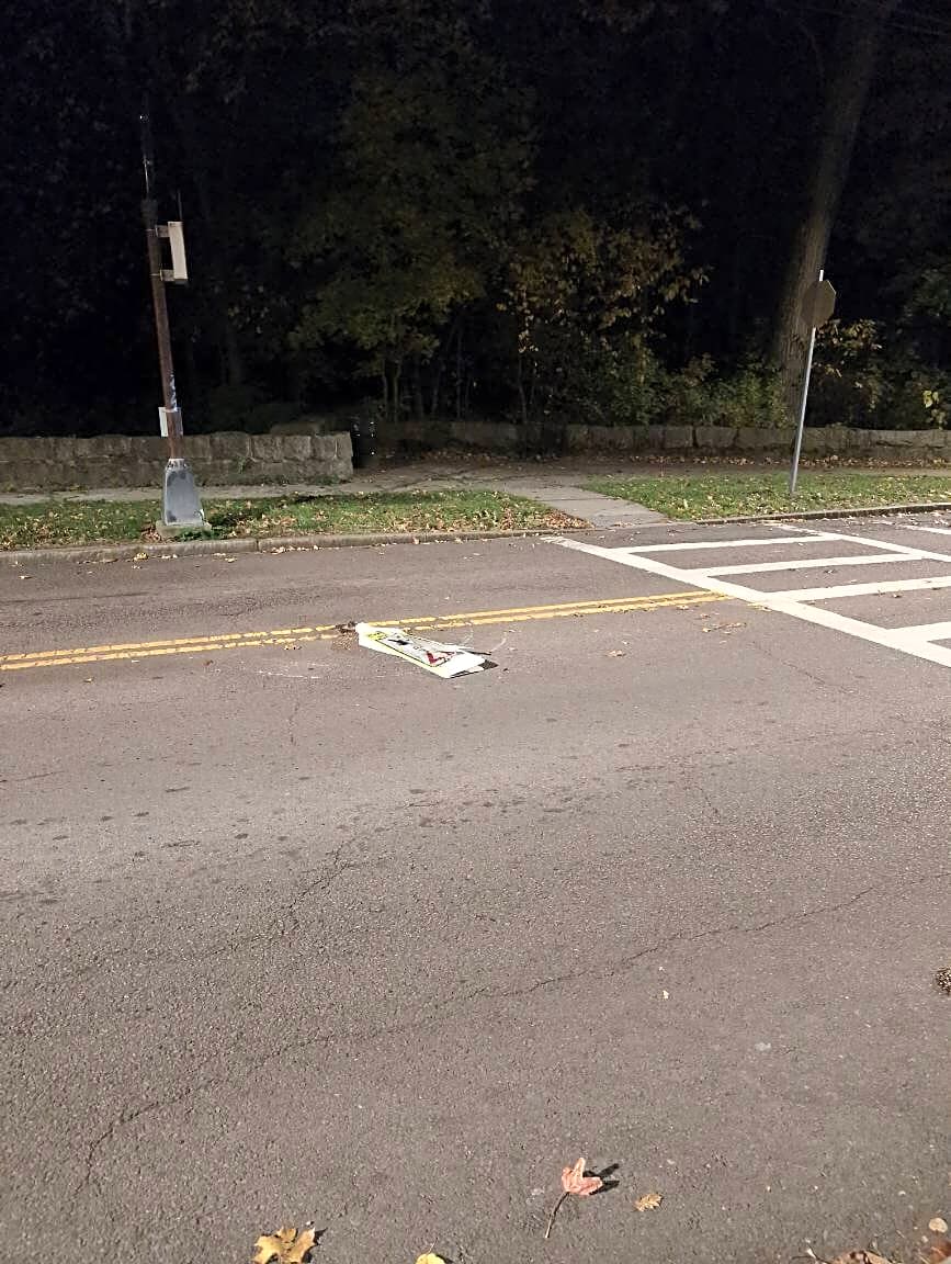 Image submitted with report