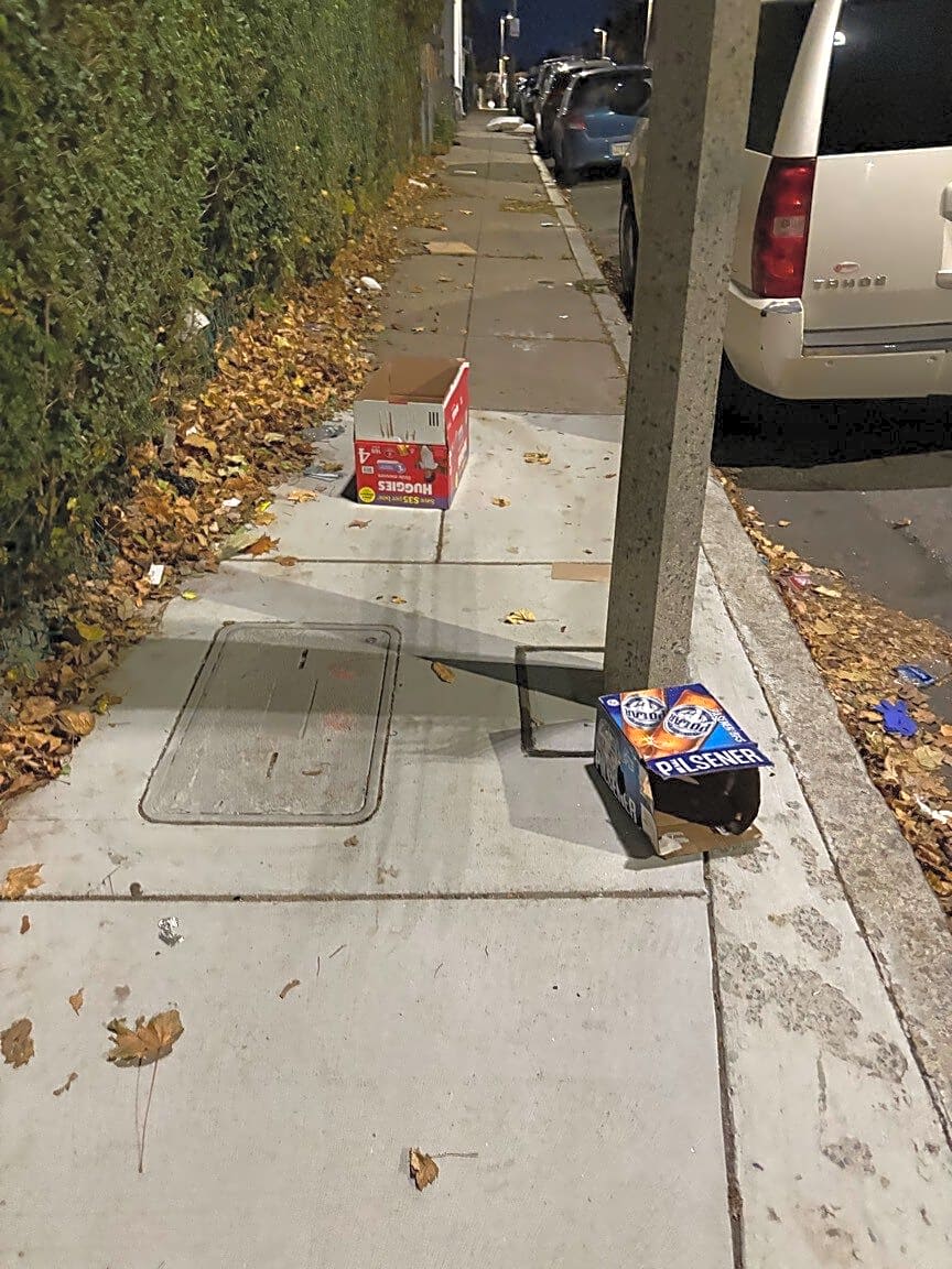 Image submitted with report