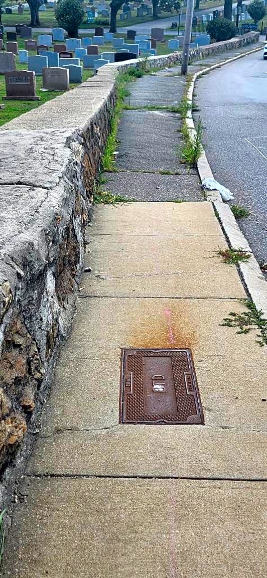 Image submitted with report