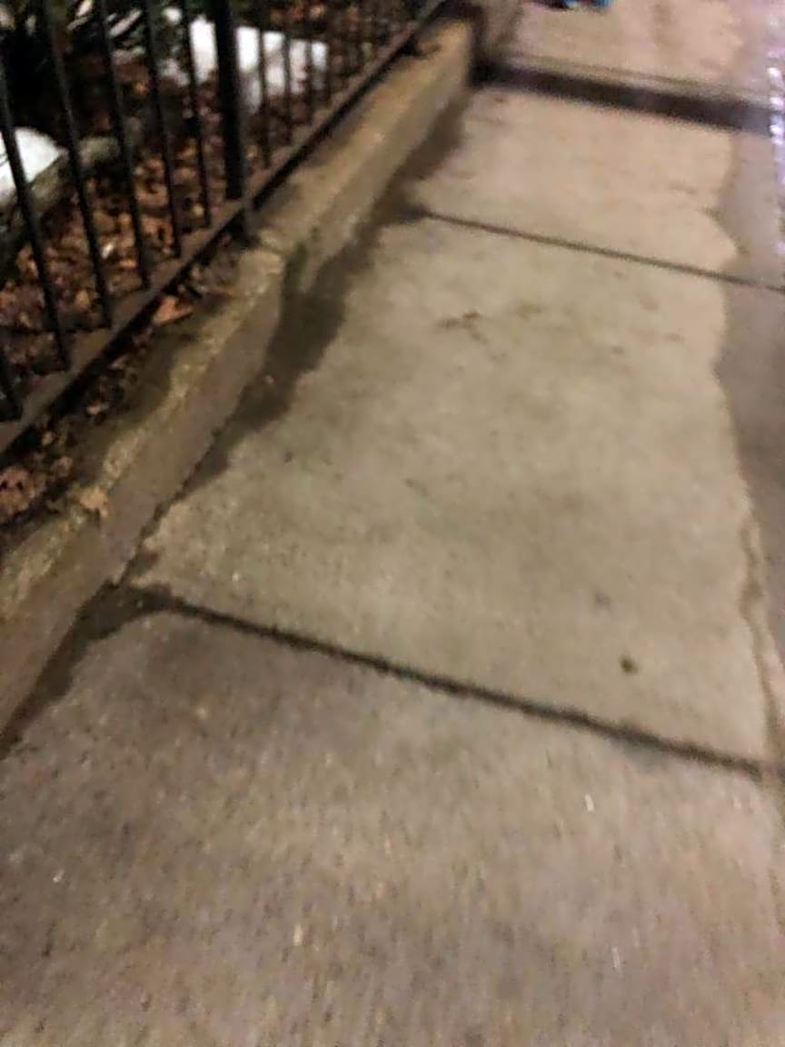 Image submitted with report
