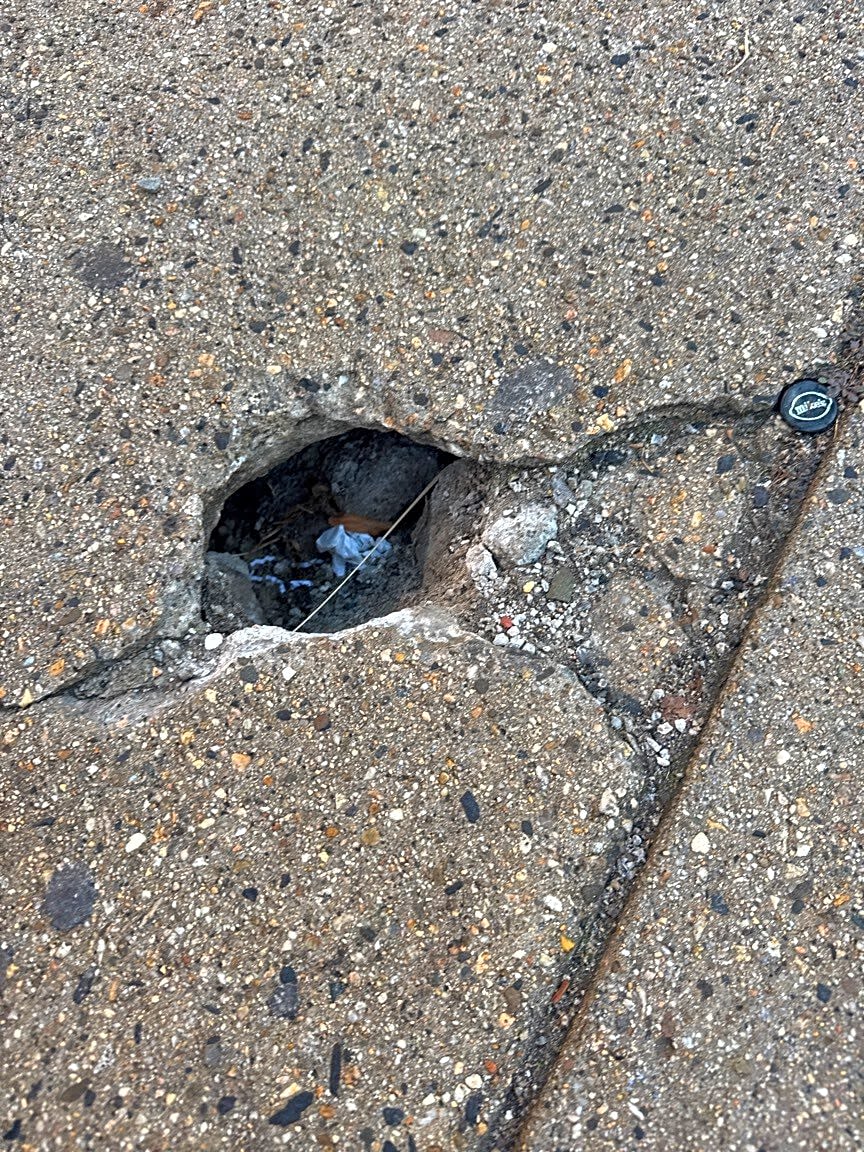 Image submitted with report