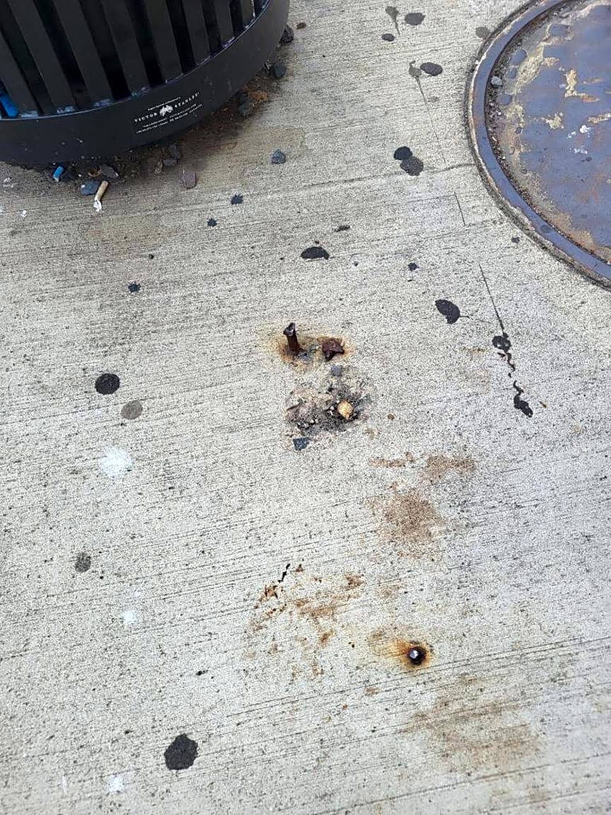 Image submitted with report