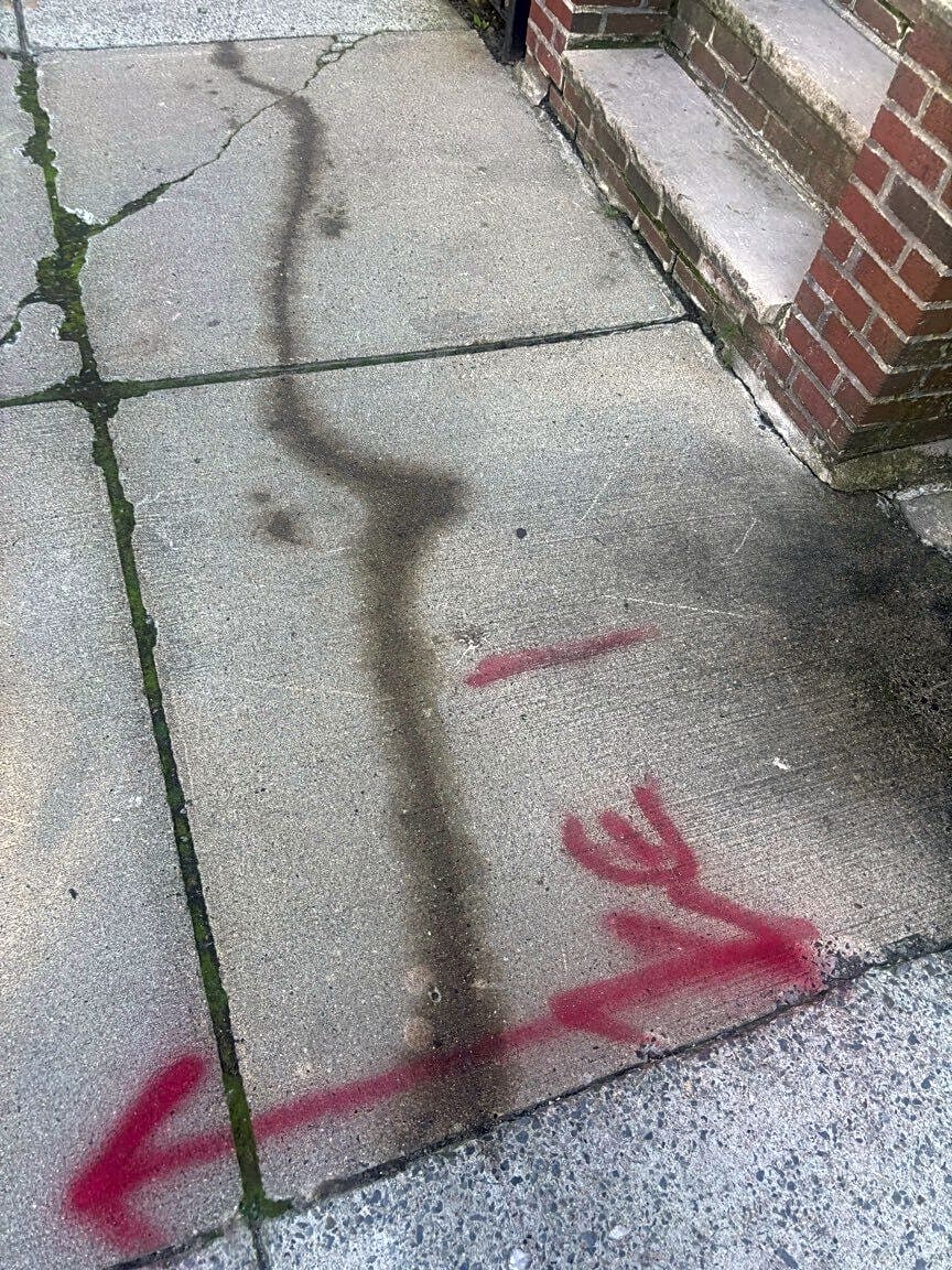 Image submitted with report