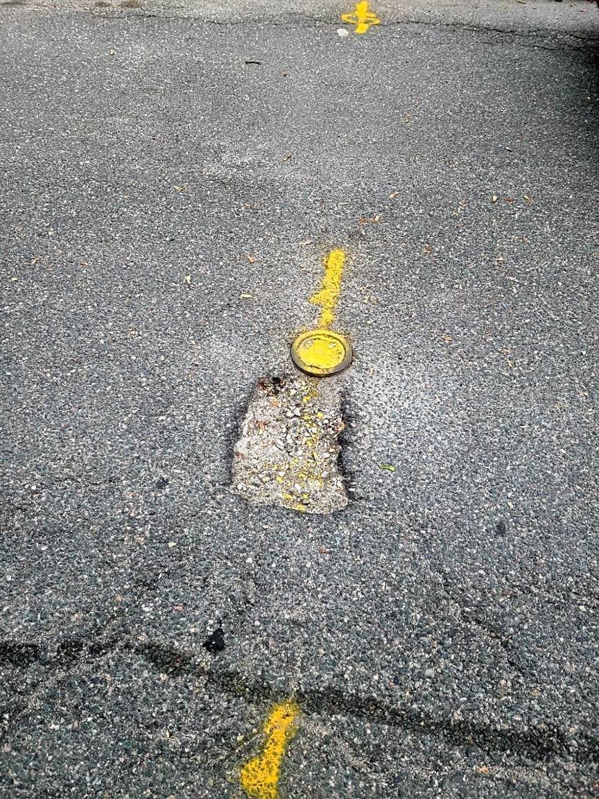 Image submitted with report