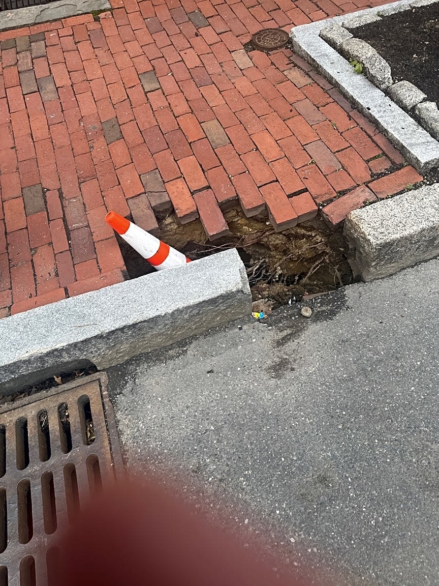 Image submitted with report
