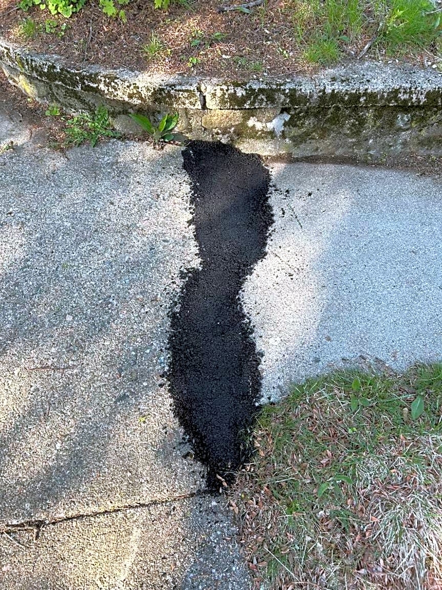 Image submitted with report