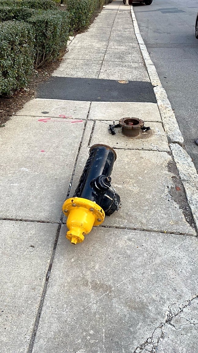 Image submitted with report