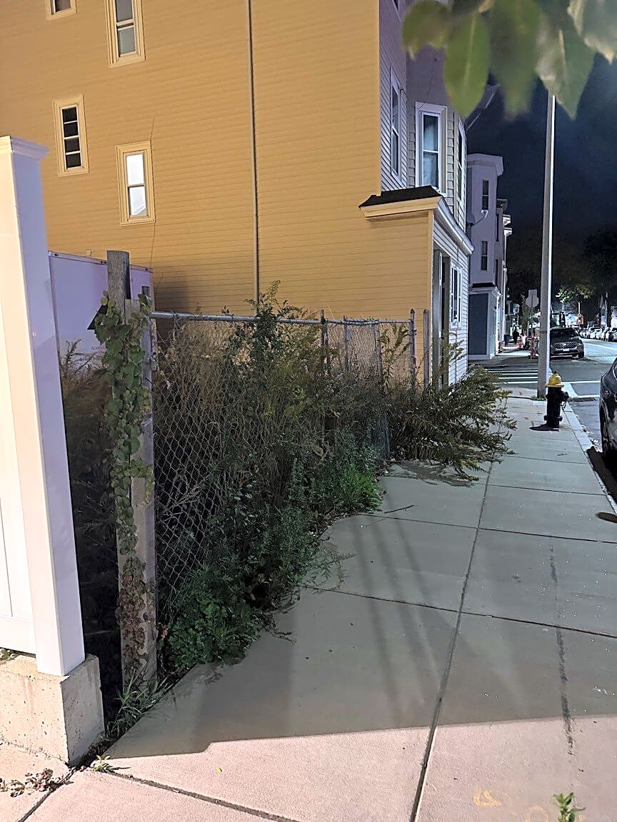 Image submitted with report