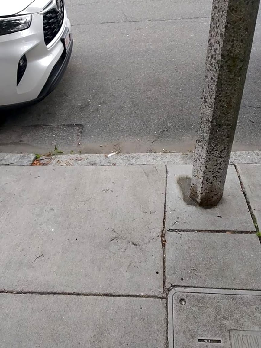 Image submitted with report