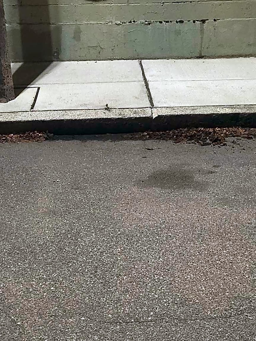 Image submitted with report