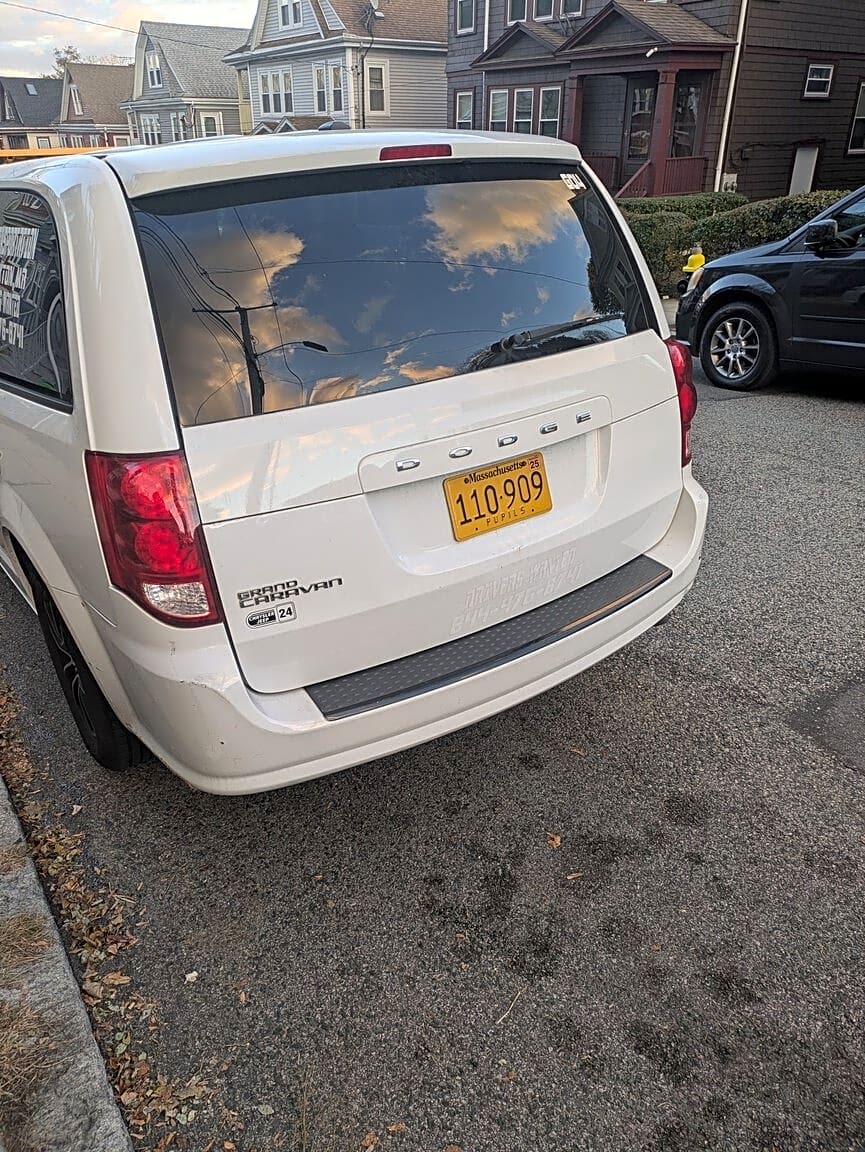 Image submitted with report