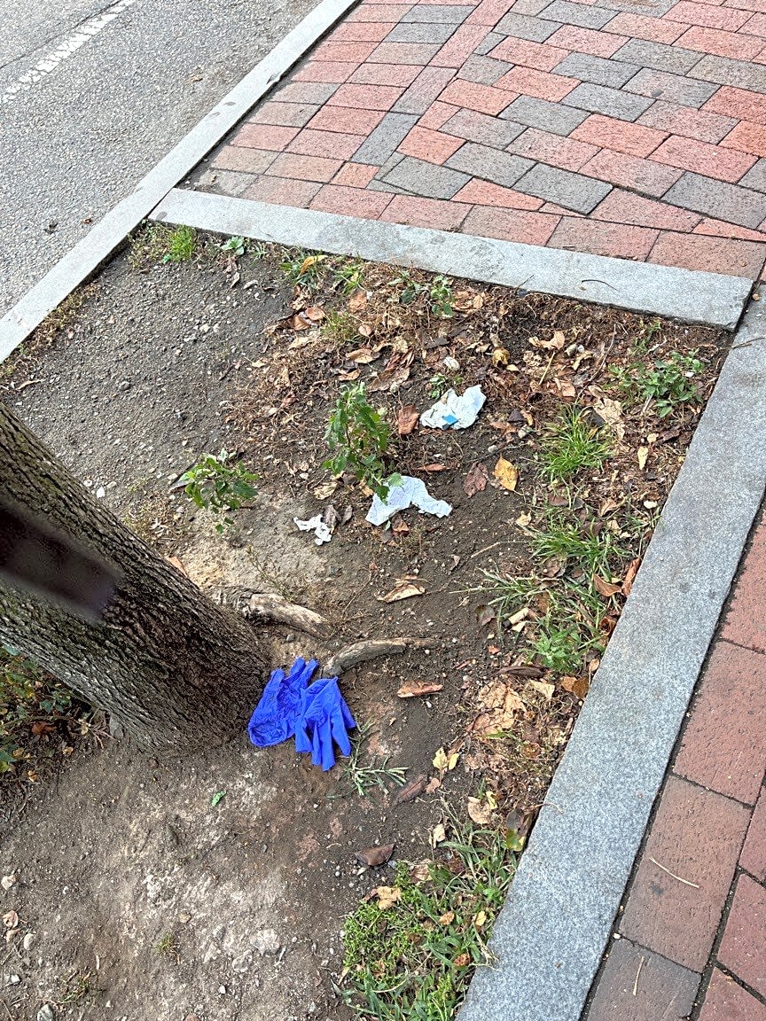 Image submitted with report